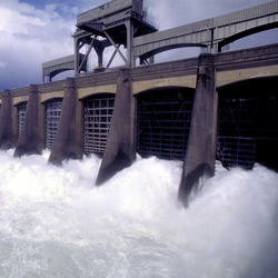 Salmon Group Wades Into Pacific Northwest Curtailment Battle
