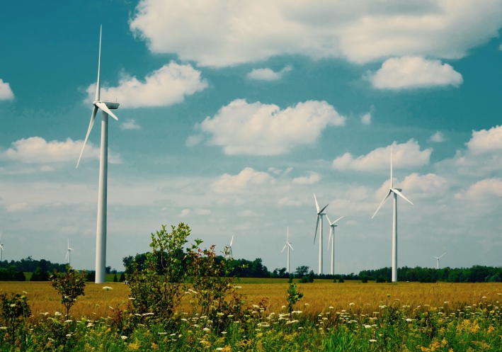 wind turbine