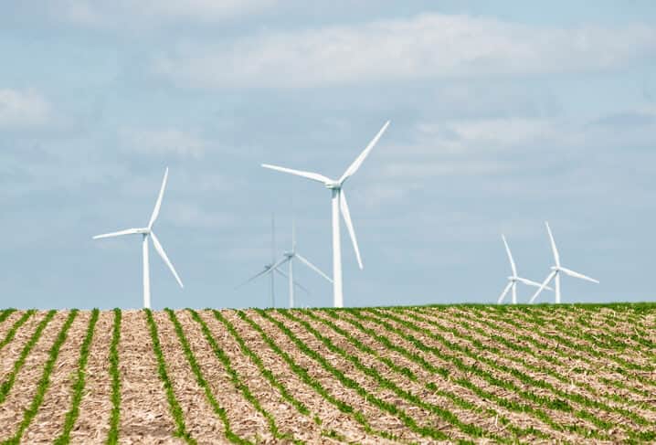 corn field wind turbines