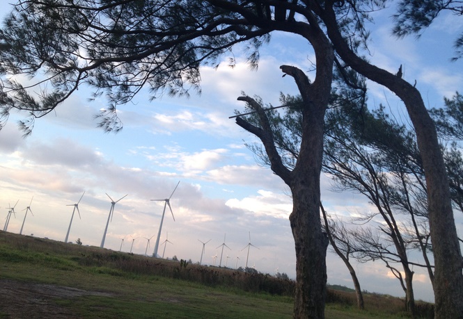 community wind farm