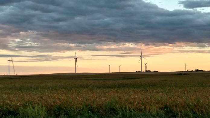 courtenay wind farm