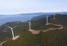 japanese wind project