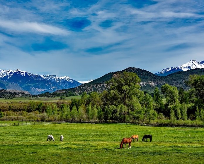 colorado