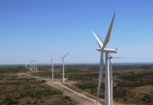 texas wind farm