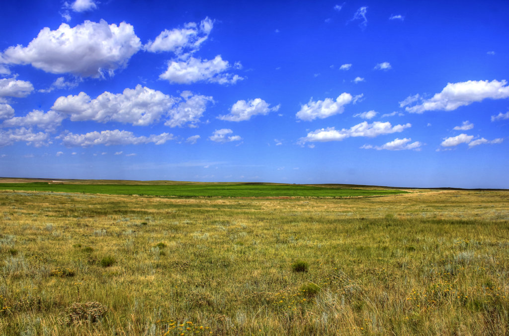 Investor Takes Stake in Prairie Breeze II and III Wind Farms - North ...