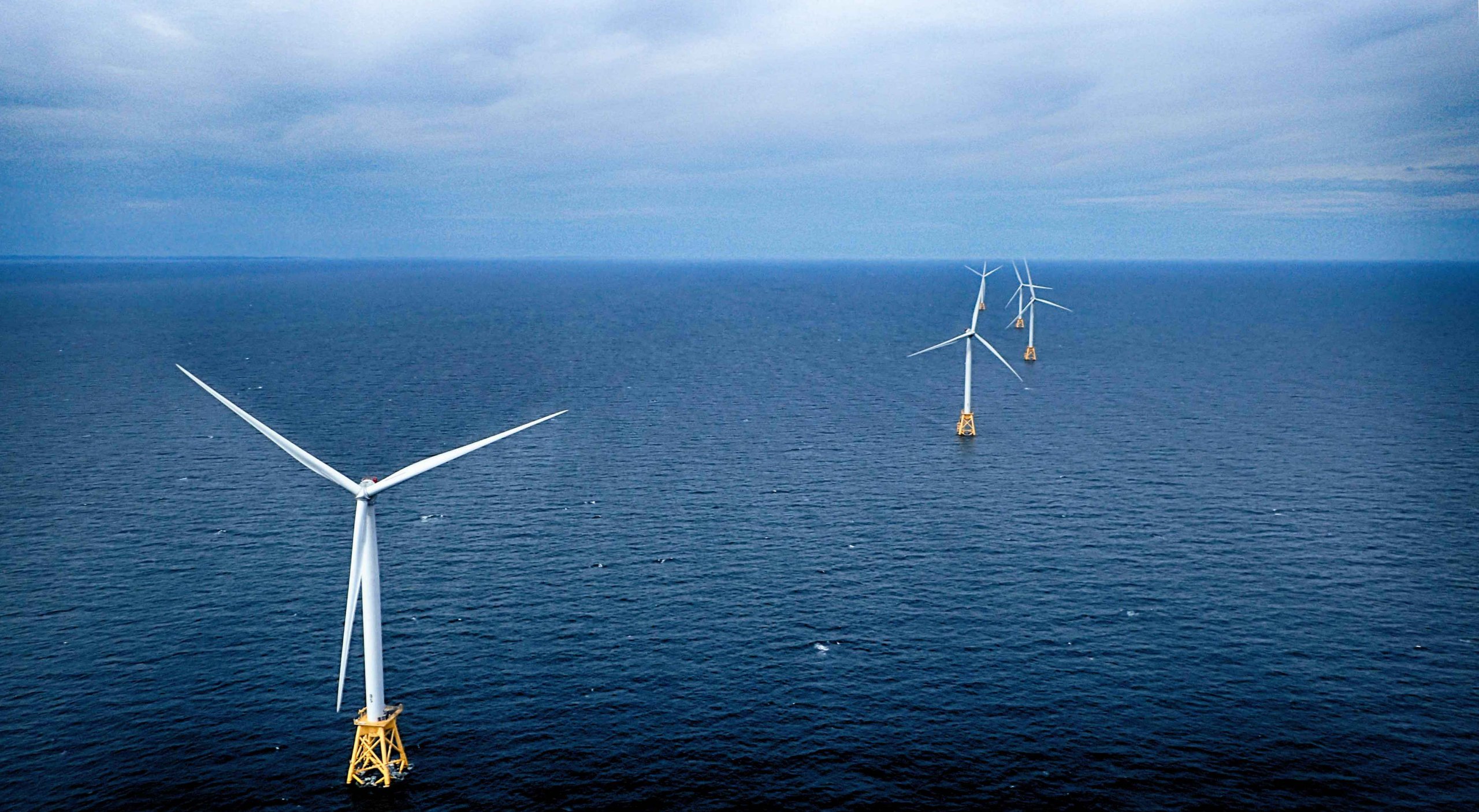 The offshore wind farm O&M procedures