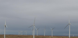 Wind Power News