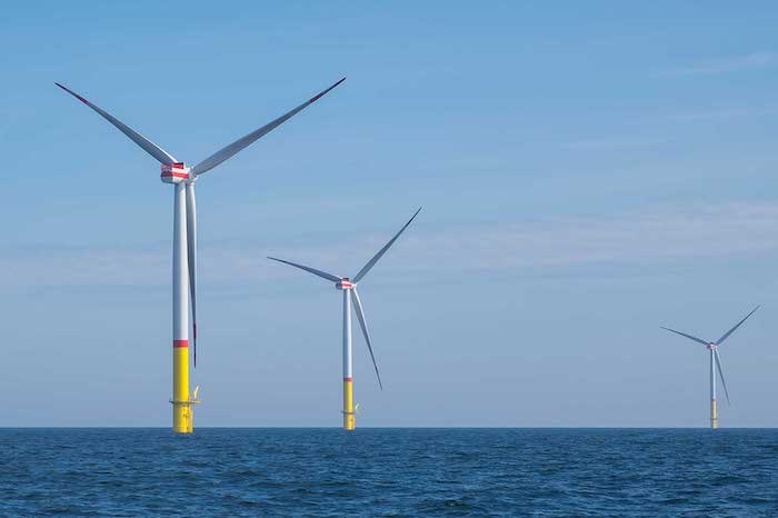 Community Offshore Wind Partners with Science Center for Marine Fisheries