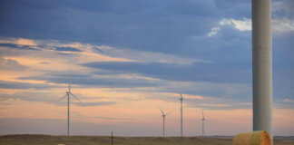 Wind Power News